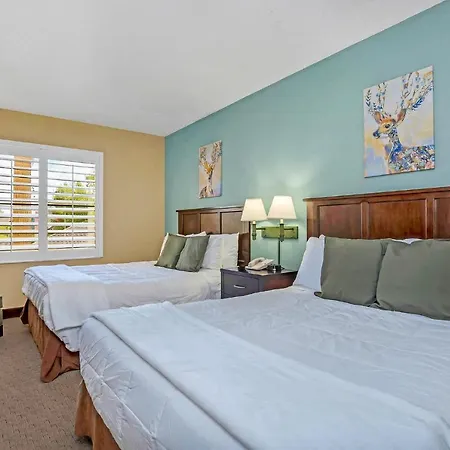 1Br With Two Queen Beds - Near Disney - Pool And Hot Tub!
